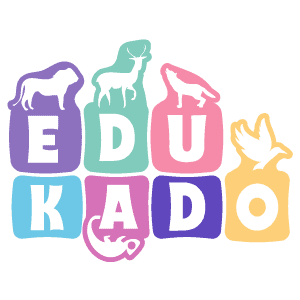 Adaptacja dzieci do przedszkola Warszawa - Przedszkola Warszawa wolne miejsca - Edukado